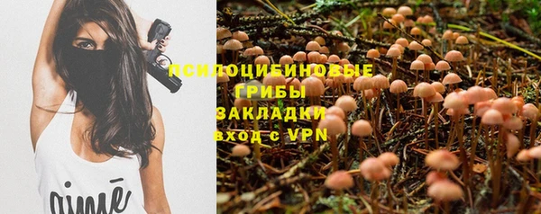 сатива Алексеевка