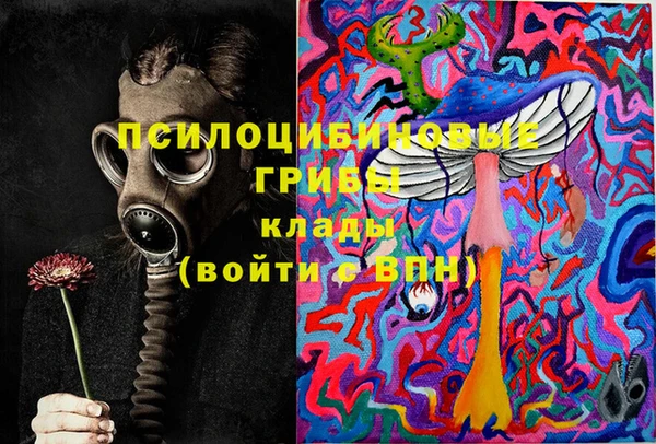 сатива Алексеевка