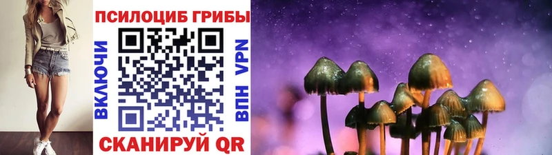 Галлюциногенные грибы Magic Shrooms  Богучар 